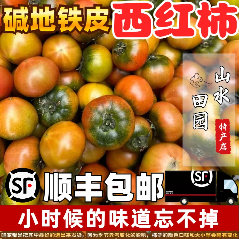 铁皮柿子【顺丰包邮】又名草莓柿子、绿腚番茄