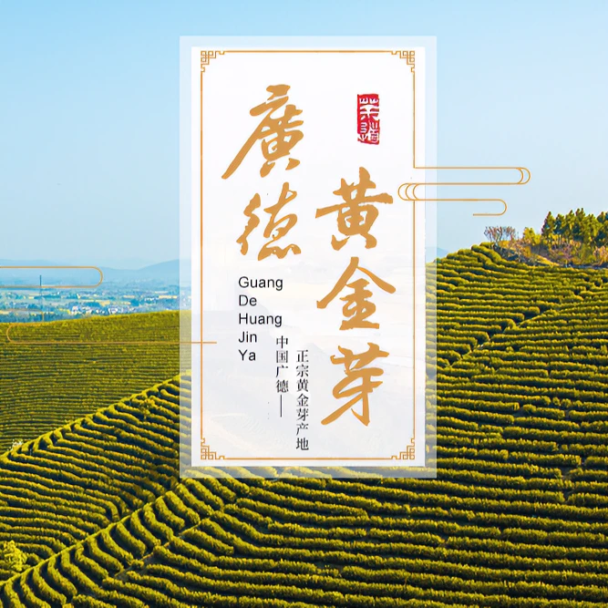 2025春茶《大李家茶叶》大李推荐黄金芽临时链接-【7】