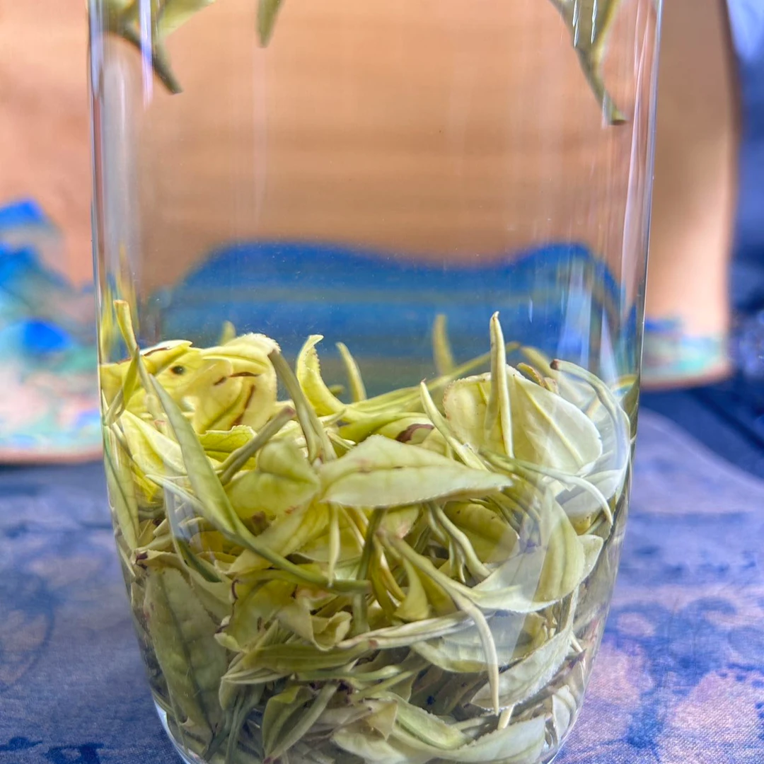 2023年新茶『兰花香白茶』茶农代卖兰花香白茶