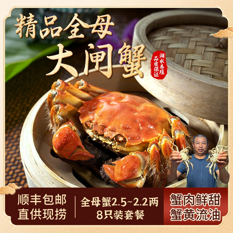【活蟹】阳澄年代苏州精品大闸蟹 全母蟹2.5-2.2两套餐 8只装