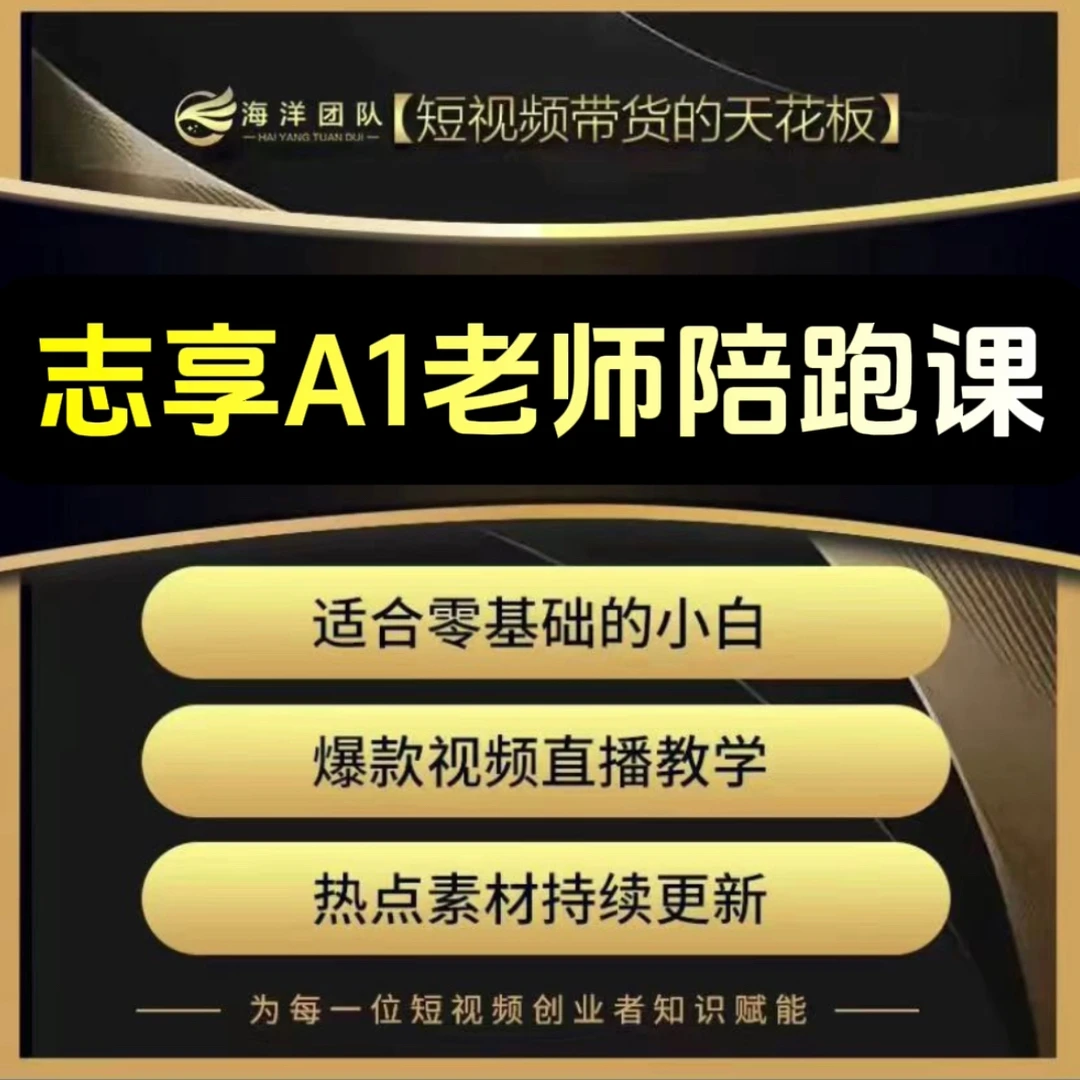 志享A1老师实操陪跑课(报名通道V）