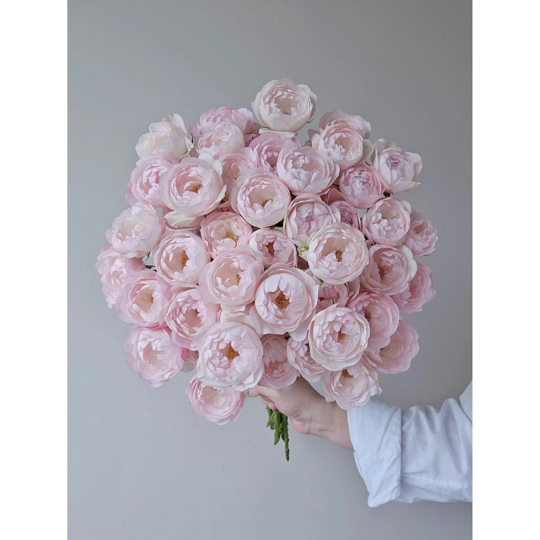 草莓杏仁饼-多头玫瑰（注意:带包装醒花，带包装醒花！！！）