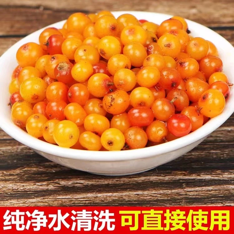 吕梁野生小果沙棘新鲜果子沙棘原浆酵素果沙棘鲜果果油果籽野山坡