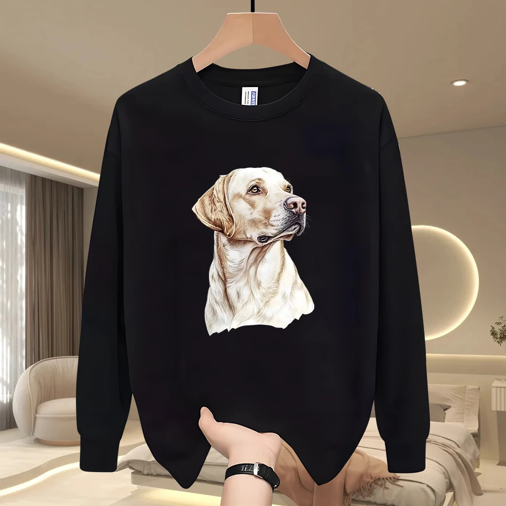 新款春秋国潮休闲简约个性纯棉男女金毛印花百搭宽松圆领纯棉长袖