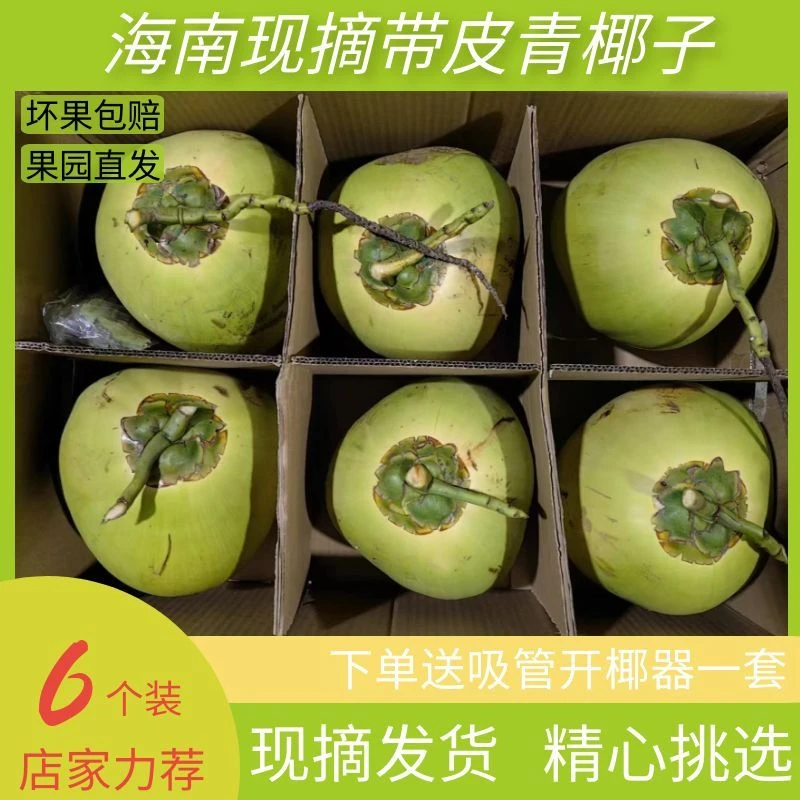 【坏果包退】海南文昌带皮新鲜清甜青椰子孕妇甘甜鲜甜营养发货椰青