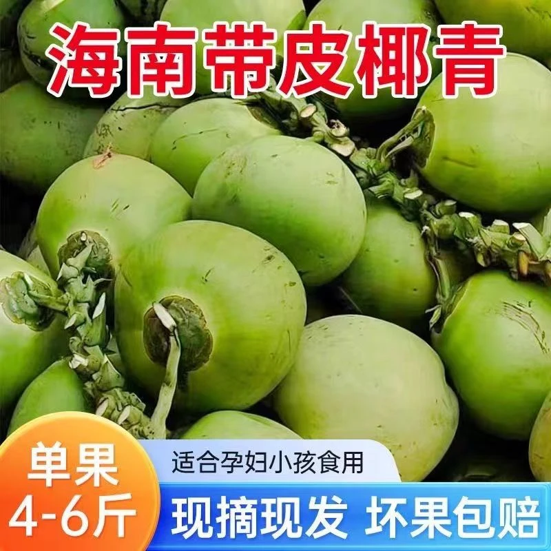 【箱装5颗】保底400水海南文昌清甜带皮青椰子孕妇甘甜鲜甜发货椰青