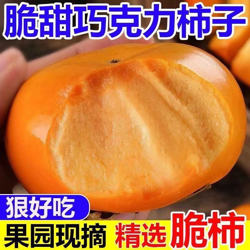 阳丰脆甜柿子脆甜多汁自家果园现摘现发