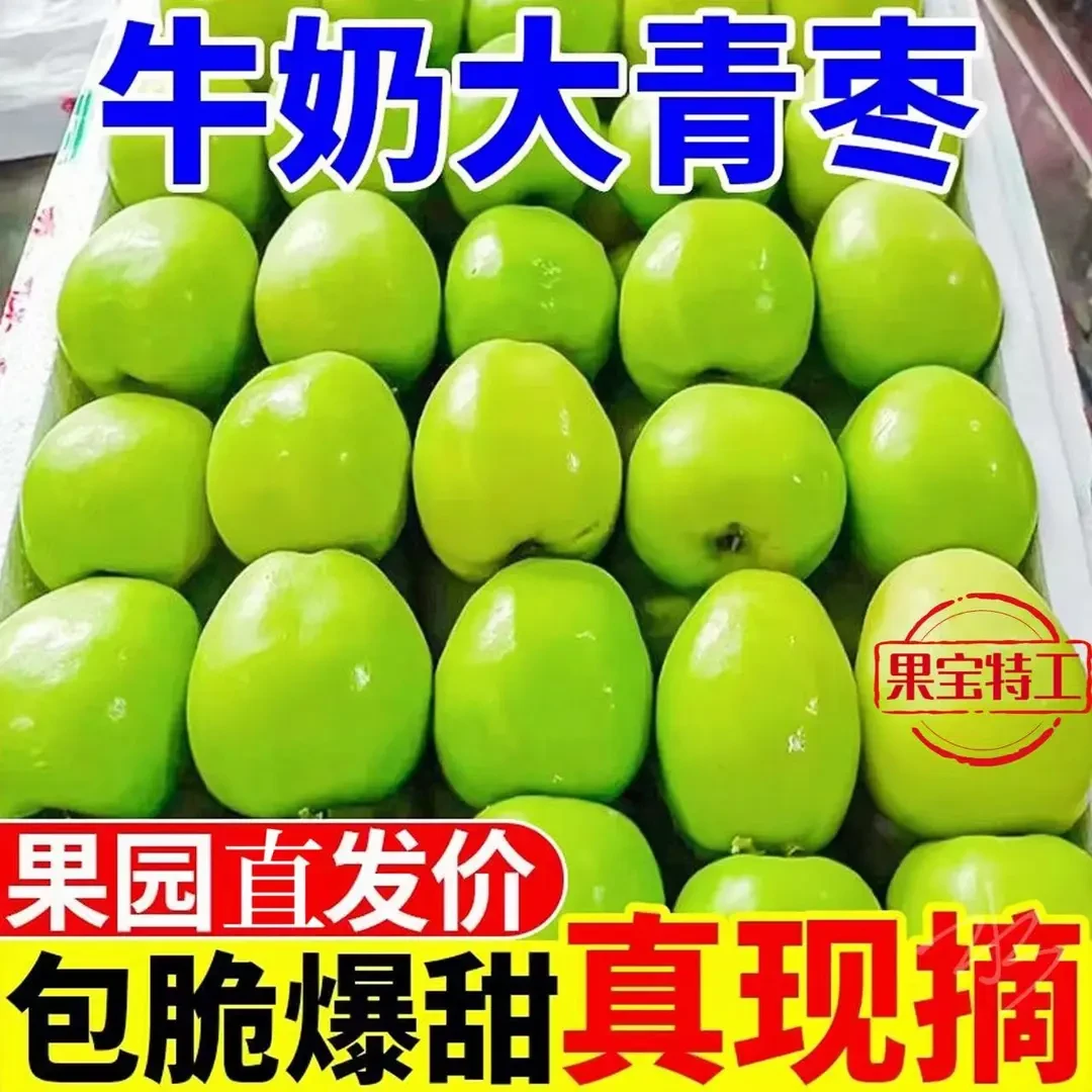 贵妃蜜枣大青枣脆甜应季冬枣苹果枣脆甜时令水果新鲜当季奶香脆枣