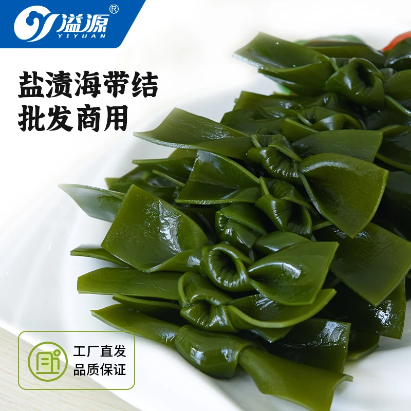 【火锅煲汤】溢源盐渍海带结新鲜干净串串关东煮海带扣