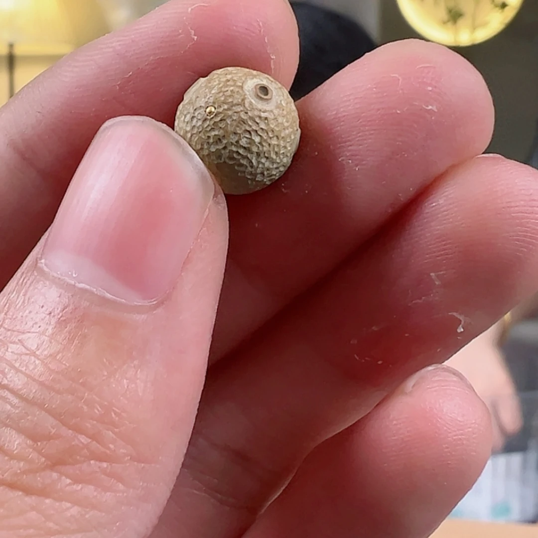 【闪购商品】绿松石配饰未镶嵌