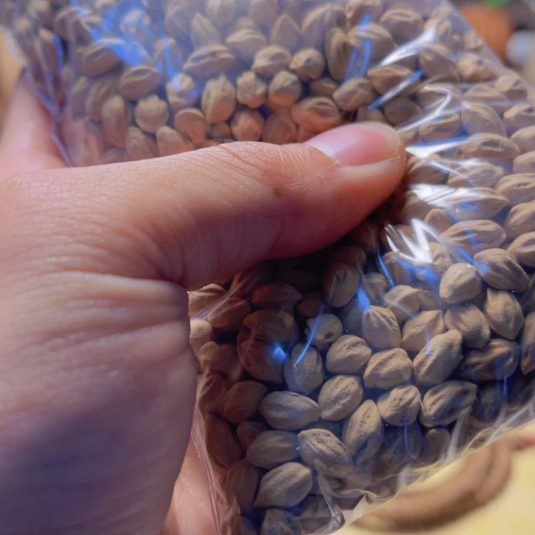【闪购商品】柏香籽/百香籽吊坠