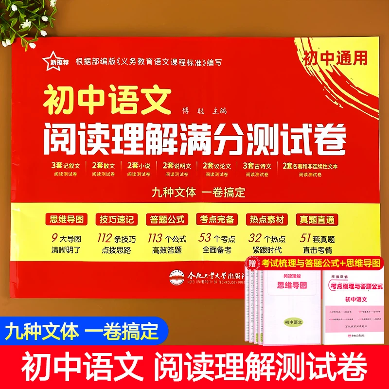 初中语文阅读理解满分测试卷七八九年级语文现代文古诗文阅读公式