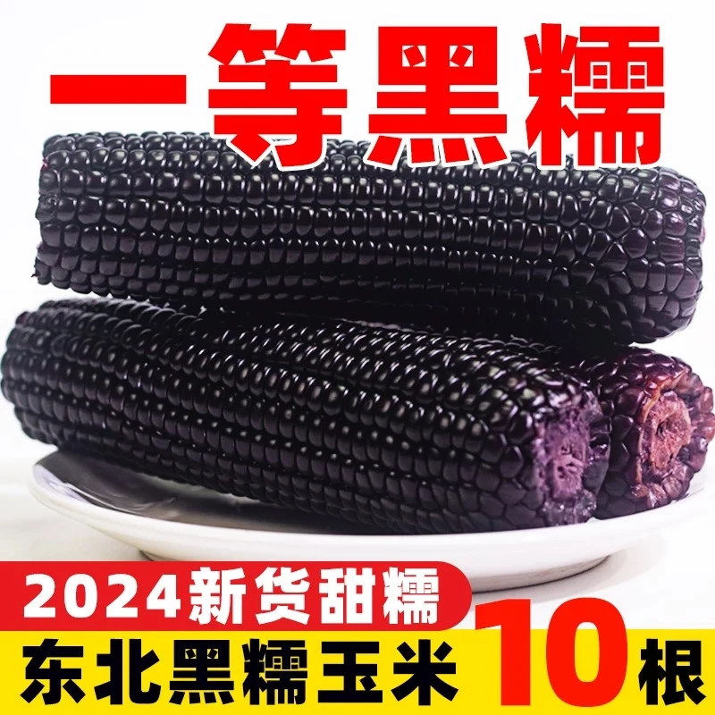 【整箱5斤】试吃2根原生态种植黑糯玉米10支*220-280g低脂香甜