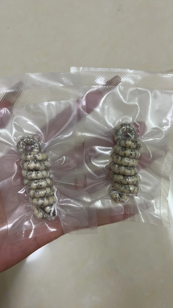 海南星月菩提石玉猪大肠6mm