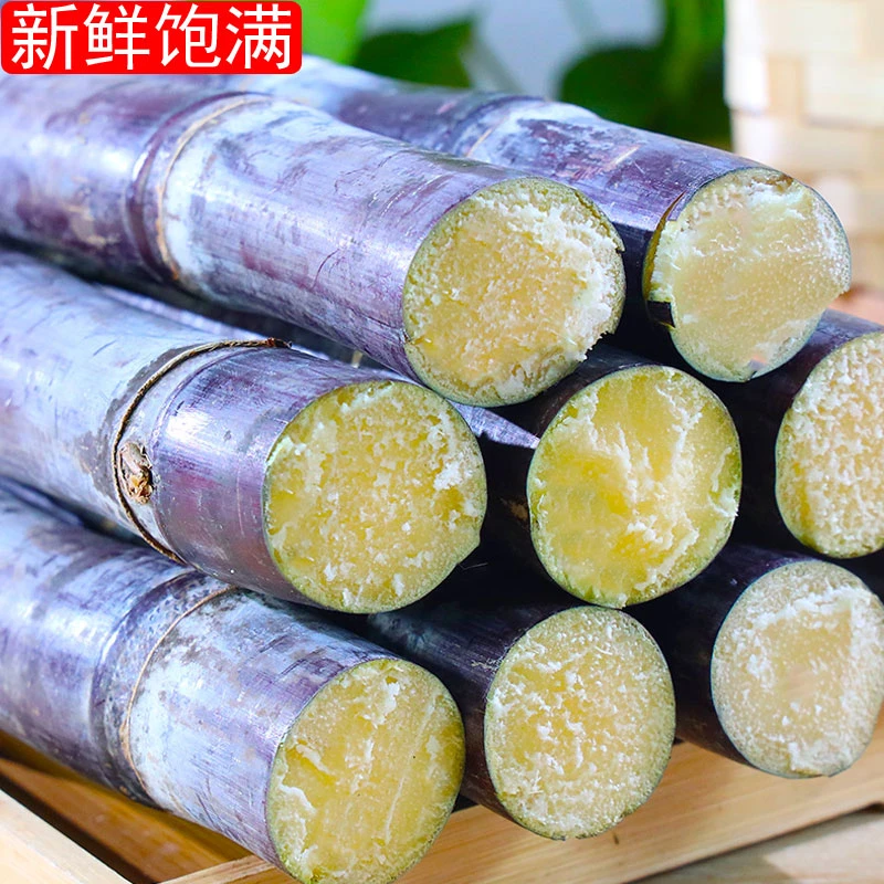 新鲜黑皮甘蔗现砍现发时令当季孕妇水果包邮清甜多汁爽脆皮5斤9斤