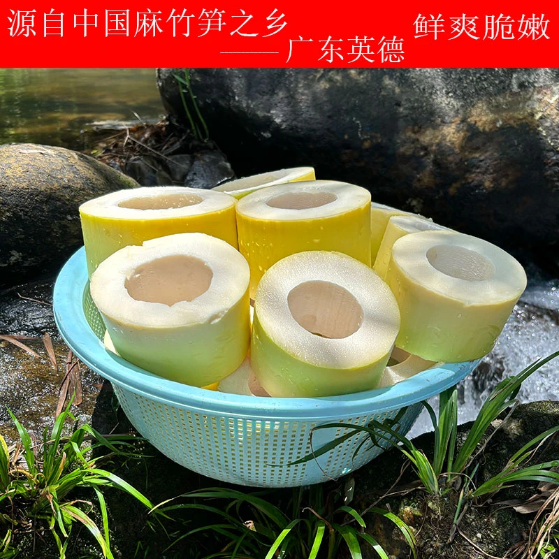 严选农家脆爽笋节优质新鲜麻竹笋肉实爽口脆肉美味焖鸭焖鸡350克