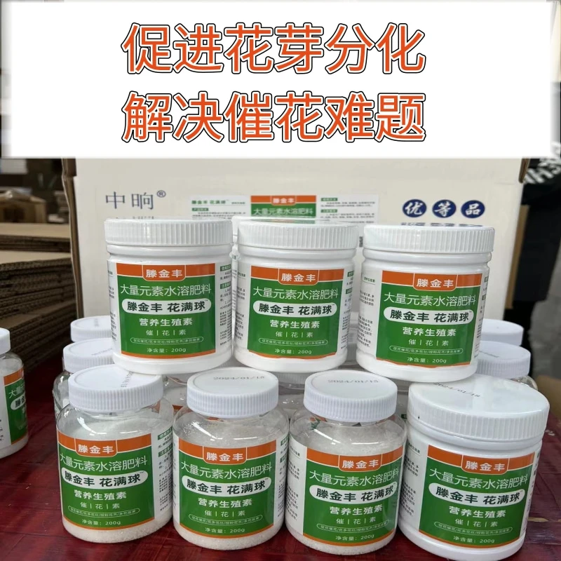 花满球果树荔枝龙眼催花素促进生殖生长花芽分化分裂素促花促果