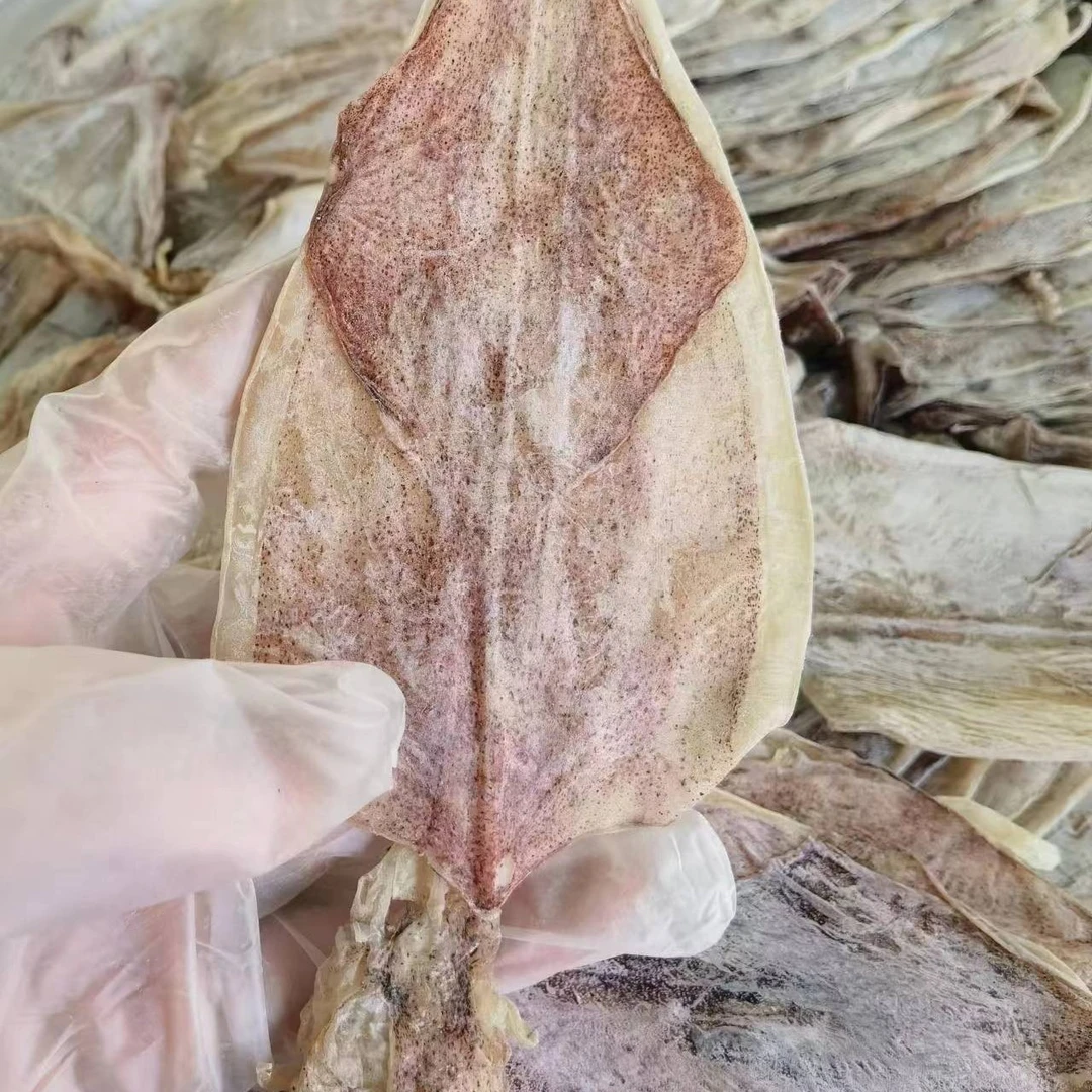 A3鱿鱼40~50只 一斤食用烧烤拉丝鱿鱼芥末鱿鱼