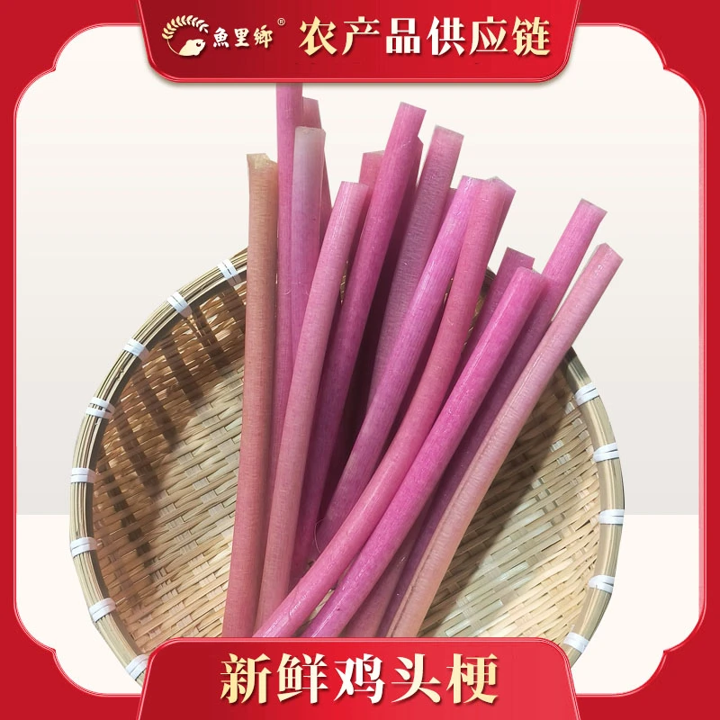 新鲜鸡头梗芡实梗睡莲梗鸡蛋泡芡实杆湖北时令鸡头梗