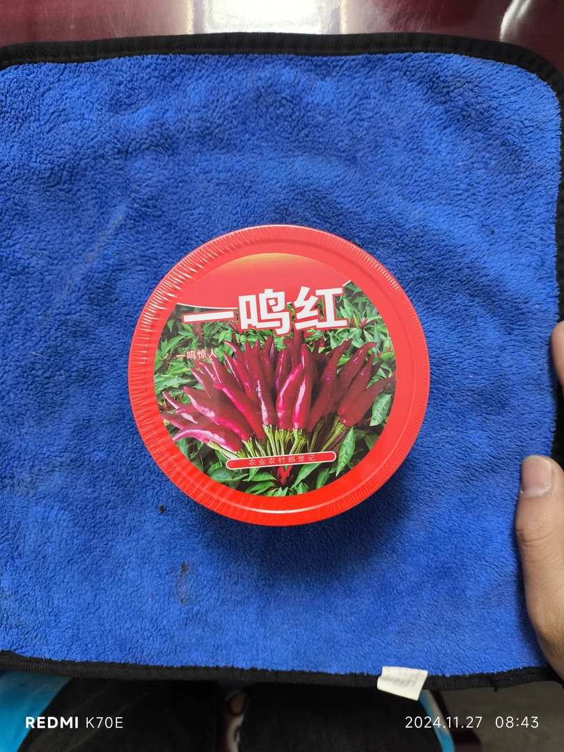 高产，抗病的辣椒品种