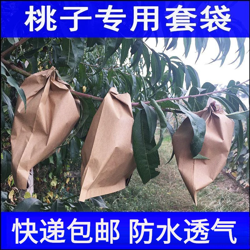 桃子套袋专用袋黄桃袋桃子纸袋黄桃水蜜桃蟠桃纸袋防虫防雨水桃袋