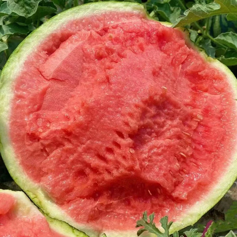 江西农家自种露天美都西瓜当季时令水果现摘现发麒麟瓜新鲜懒汉瓜