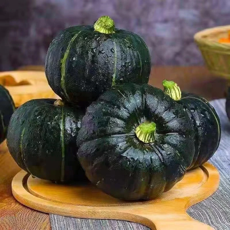 贝贝南瓜板栗味小南瓜蔬菜新鲜粉糯孕妇婴儿辅食现摘农家自种香甜