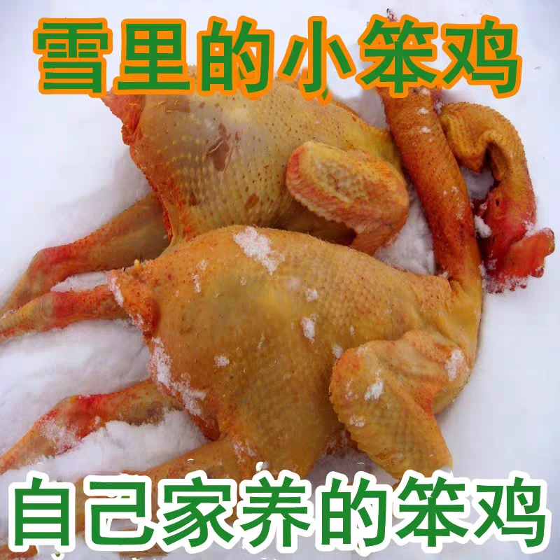 东北散养小笨鸡两只7-8斤