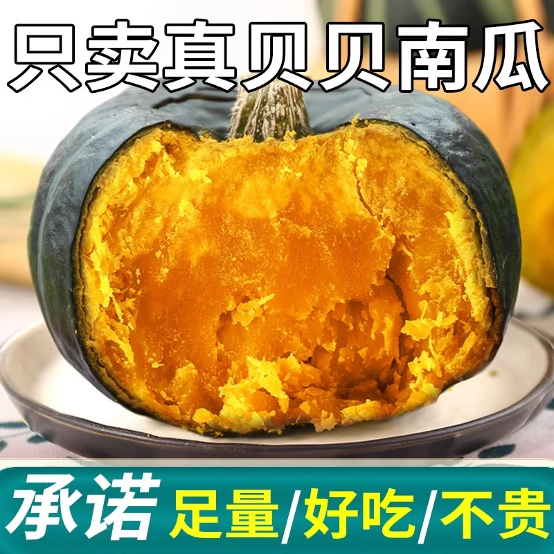 正宗贝贝南瓜宝宝辅食粉糯香甜饱腹板栗味代餐粗粮产地坏果包赔
