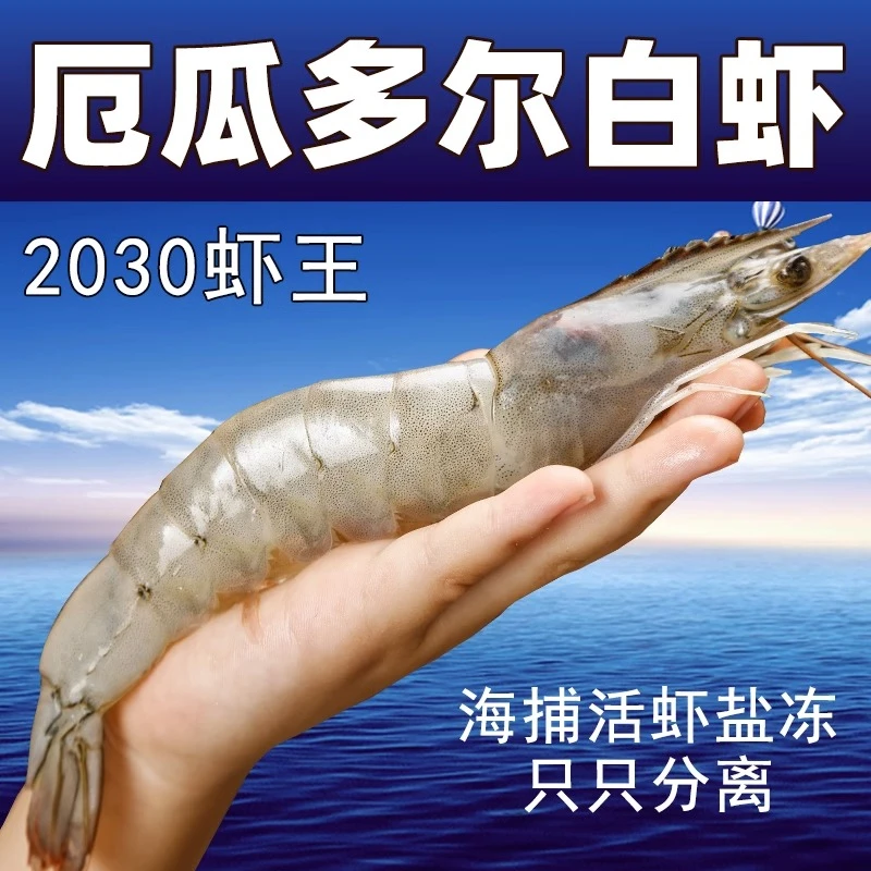 顺丰包邮厄瓜多尔盐冻南美白虾2030/3040海鲜水产新鲜海虾大虾3斤