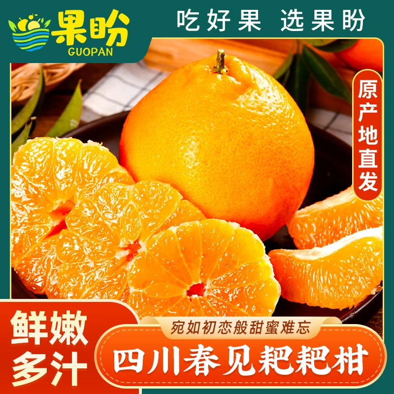 正宗四川春见耙耙柑新鲜大果应季4.5斤现摘粑粑柑橘子整箱包邮