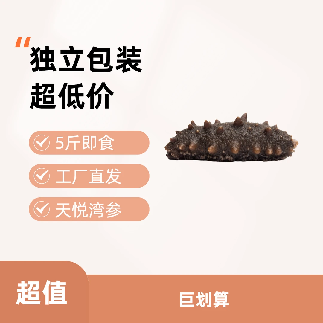 天悦湾【5斤装】大连辽参鲜食即食海参开袋即食工厂直发独立包装