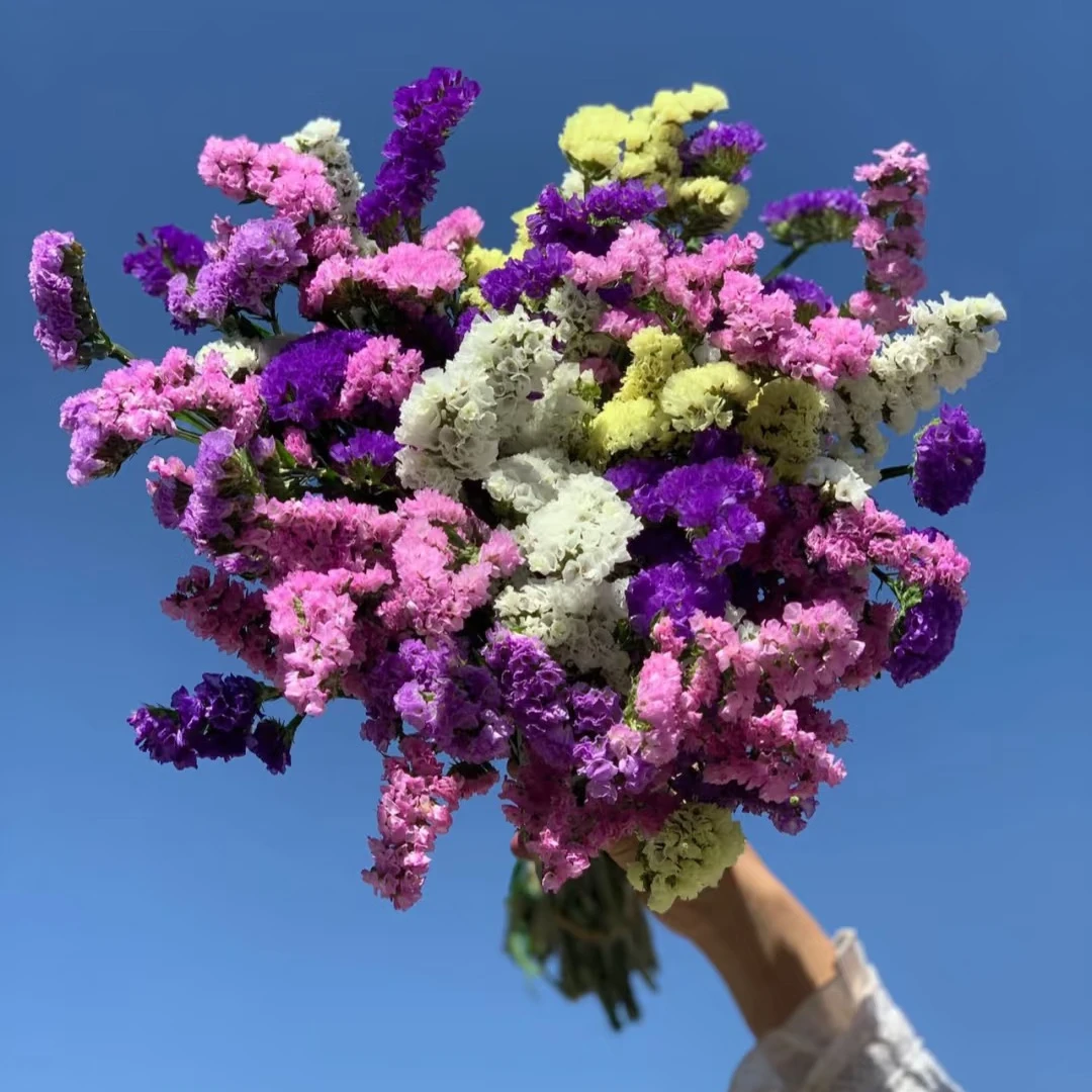 勿忘我永生花干花真花插花家居