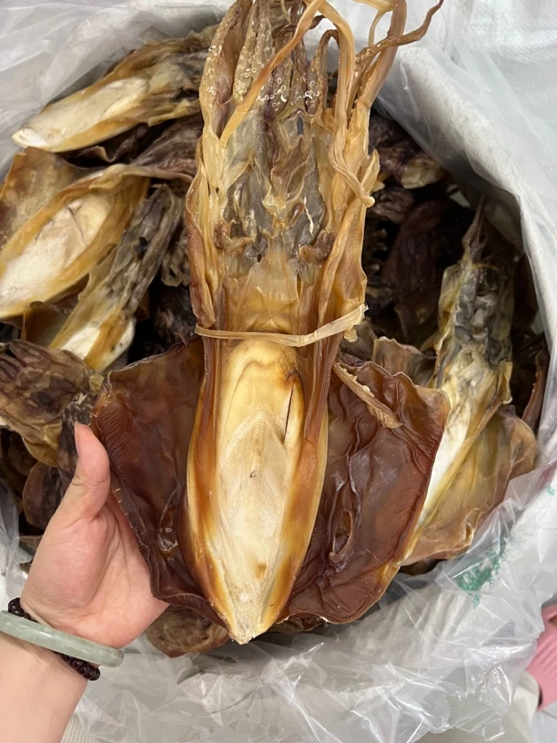 海陵岛船嗮大中小个头血墨鱼干 有墨骨 煲汤