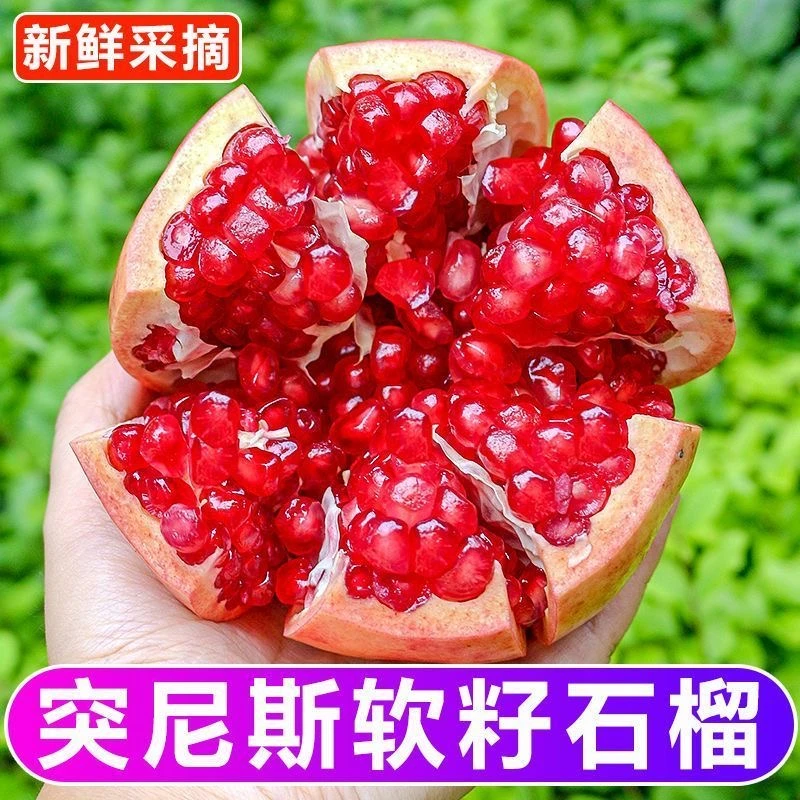 【现摘现发】正宗会理突尼斯软籽石榴清甜多汁孕妇水果新鲜采摘发货