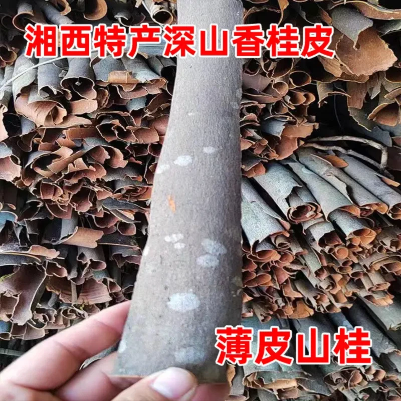 桂皮正宗湖南桂皮特产香桂野生桂皮蒲皮山桂
