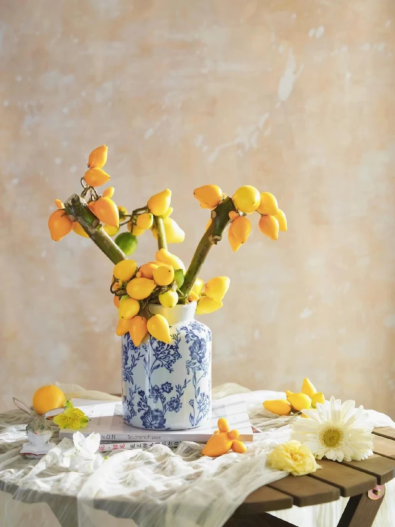 【加保温棉链接】五代果五代同堂果黄金果适合懒人可做干花