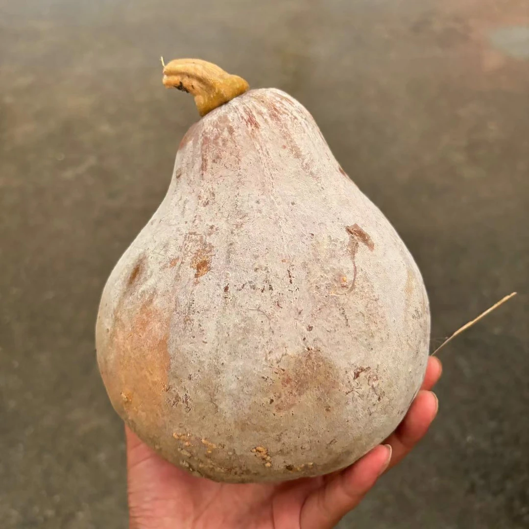 苏北农家优选阿张乡货 老乡家南瓜，冬瓜，莴苣