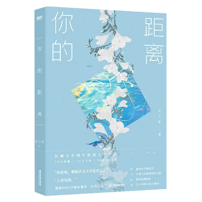 你的距离  正版书籍精选好书