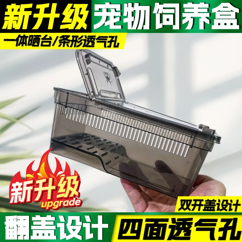 两栖水陆饲养盒角蛙乌龟螃蟹蝾螈爬宠专用带盖透气防逃育苗饲养盒