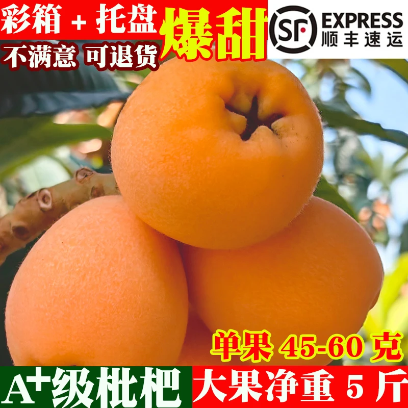 四川新鲜枇杷大果好吃顺丰纯甜鲜树上品质甜度浓郁现摘精选成熟