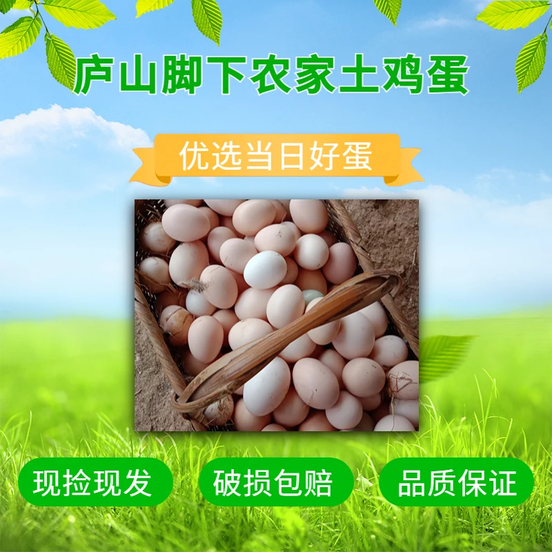 100枚实惠装 新鲜散养土鸡蛋粉壳