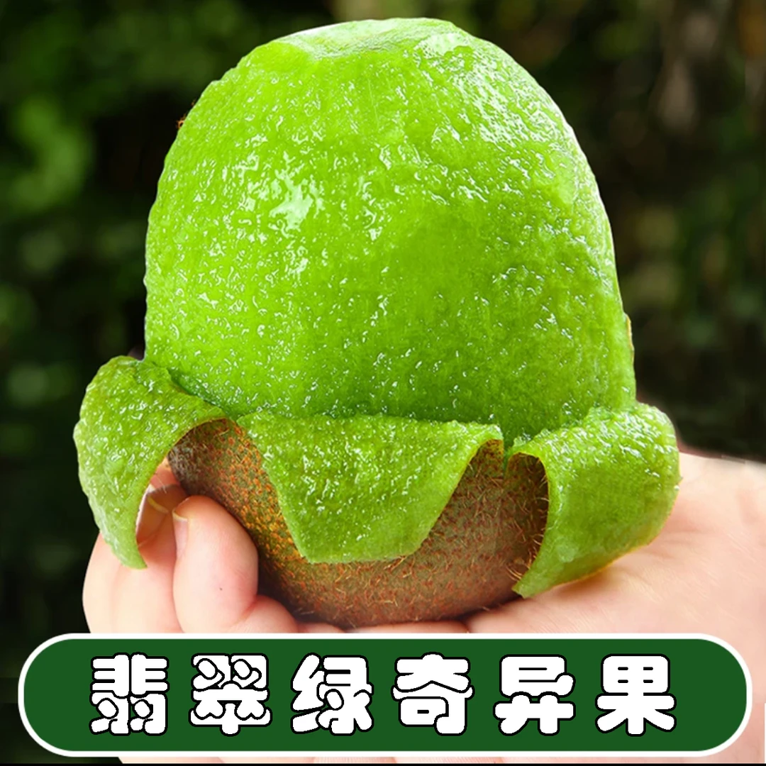 正宗西峡翡翠绿猕猴桃-奇异果  当季新鲜水果  果农现摘现发