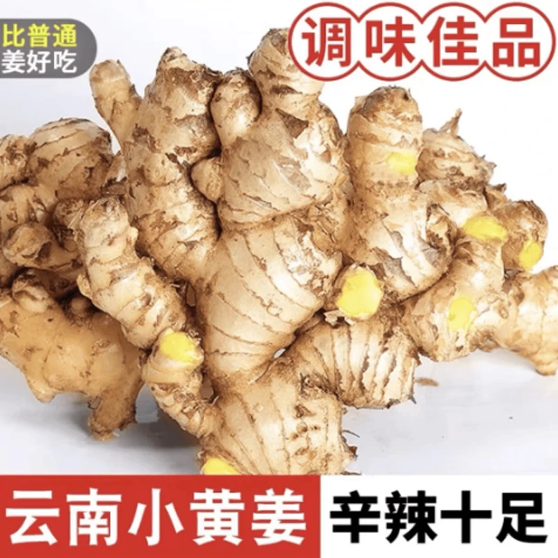 现挖云南新鲜高山小黄姜老姜去腥姜产地直发100g/1斤/3斤/5斤/9斤