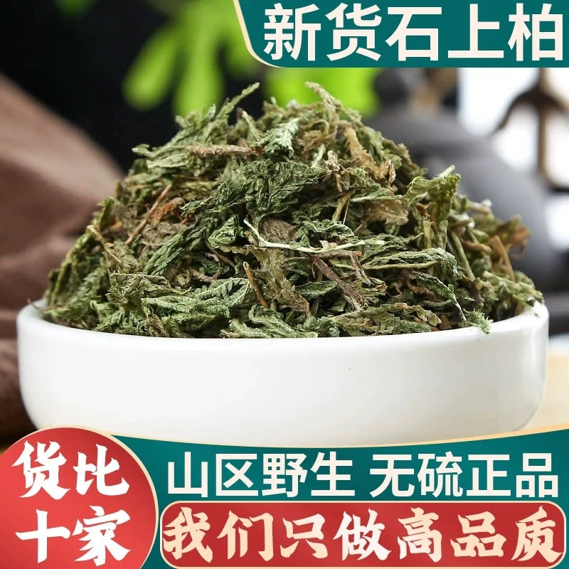 石上柏中药材非野生石上柏中草药石柏干货地柏草侧柏叶另售鱼腥草