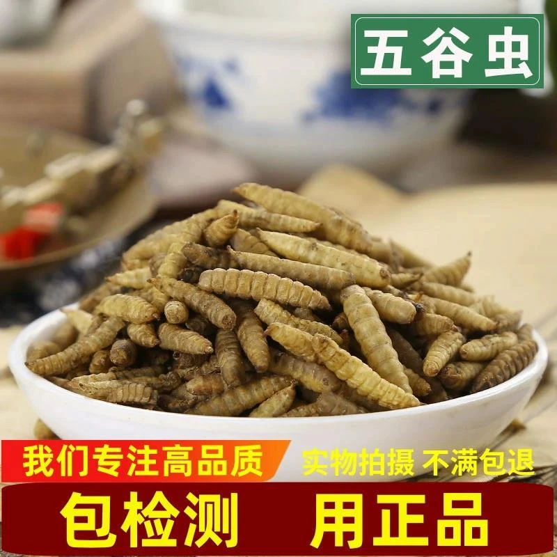 中药材食用五谷虫黄金无谷虫干蛆蝇蛆水仙子包邮另售甘草