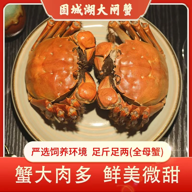 【活蟹】江苏南京固城湖精品大闸蟹湖蟹20只 全母蟹2.3-2.0两/只