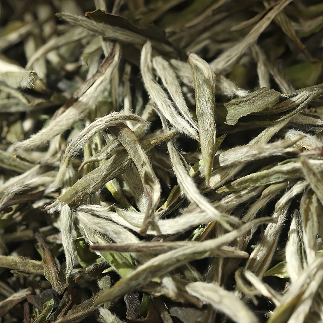 「PPX」福鼎白茶典藏牡丹500克正装