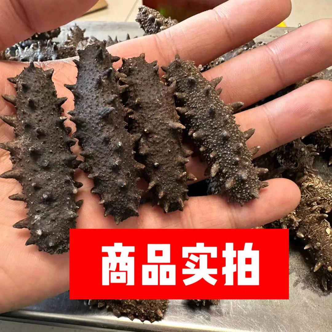 【淡干】年货大连底播淡干参辽参水发干参送礼甄选更多鱼