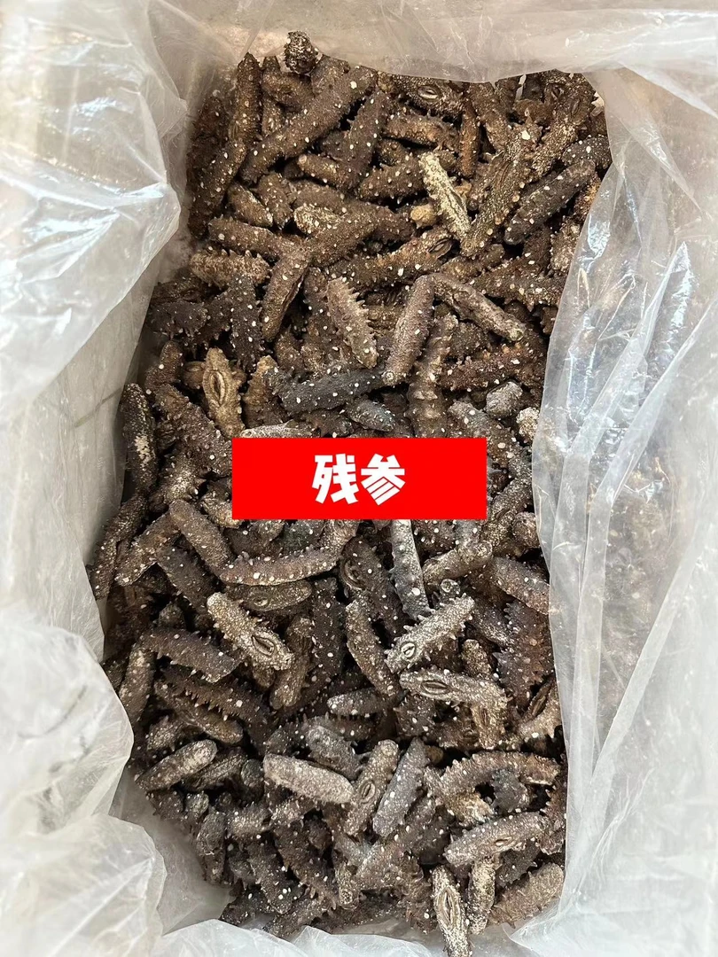 【299一斤】残干参 无刺断刺海参 不介意拍
